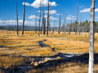 Yellowstone Stream 02