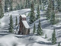 Stylized Photos