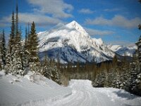Road To The Mountain