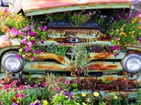 Flower Truck MG 4415