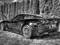 Vette painterly B&W