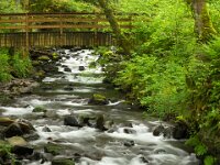 Eagle Creek 02 MG 9620