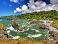 Oregon Coast 02