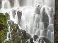 Ramona Falls 02 MG 9533