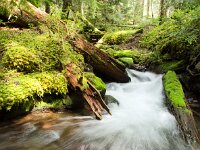 Ramona Stream 01 MG 9570