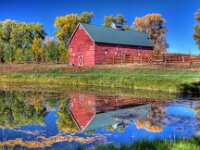 Barn Reflection