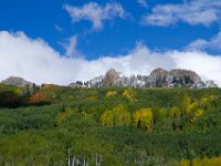Fall Color Trees 01