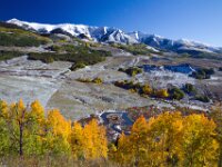 Fall Color Trees 02