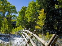 Fall Fence 01