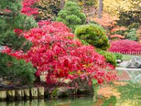 Japanese Garden 01