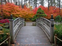 Japanese Garden 03