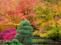 Japanese Garden 07
