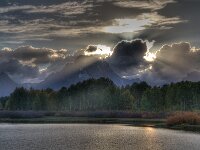 Oxbow Backlite