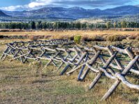 Yellowstone Fence 01+